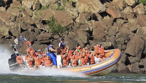 1 día em Foz: cataratas brasileiras, macuco safari e almoço no Porto Canoas - Foto 3